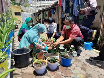 Hari Pangan Dunia, Pusdakota Ubaya Ajak Warga Tanam Sayur di Rumah