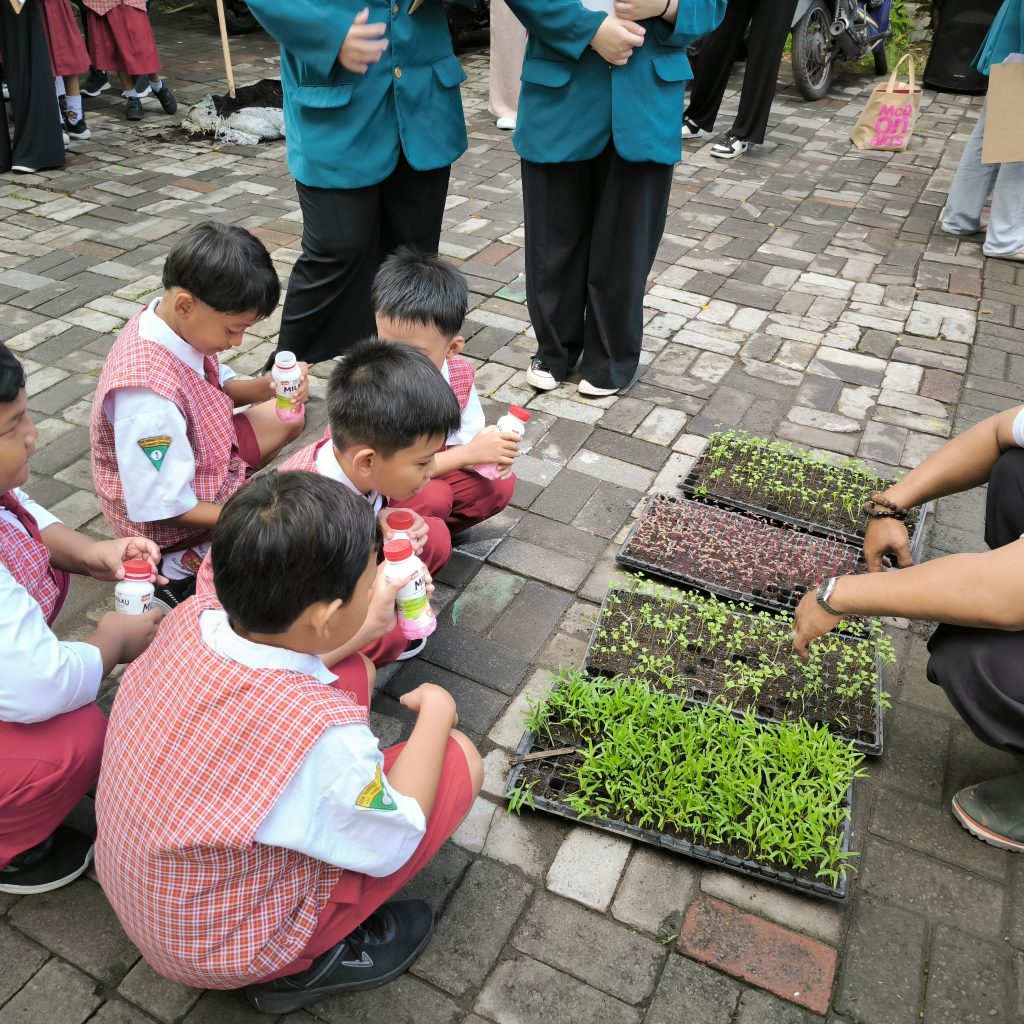 Belajar Menanam Sayur: Pusdakota Ubaya di SDN Rungkut Kidul 1