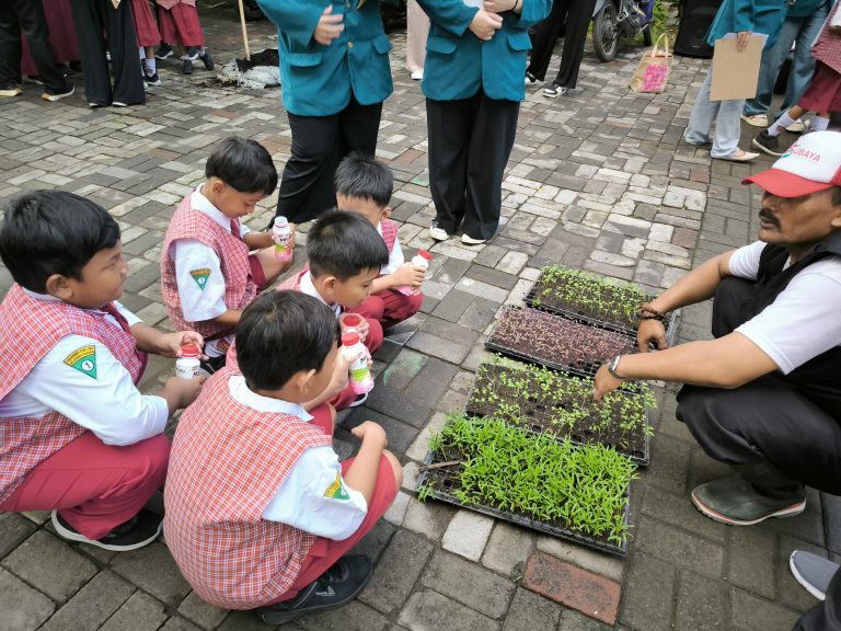 Belajar Menanam Sayur: Pusdakota Ubaya di SDN Rungkut Kidul 1