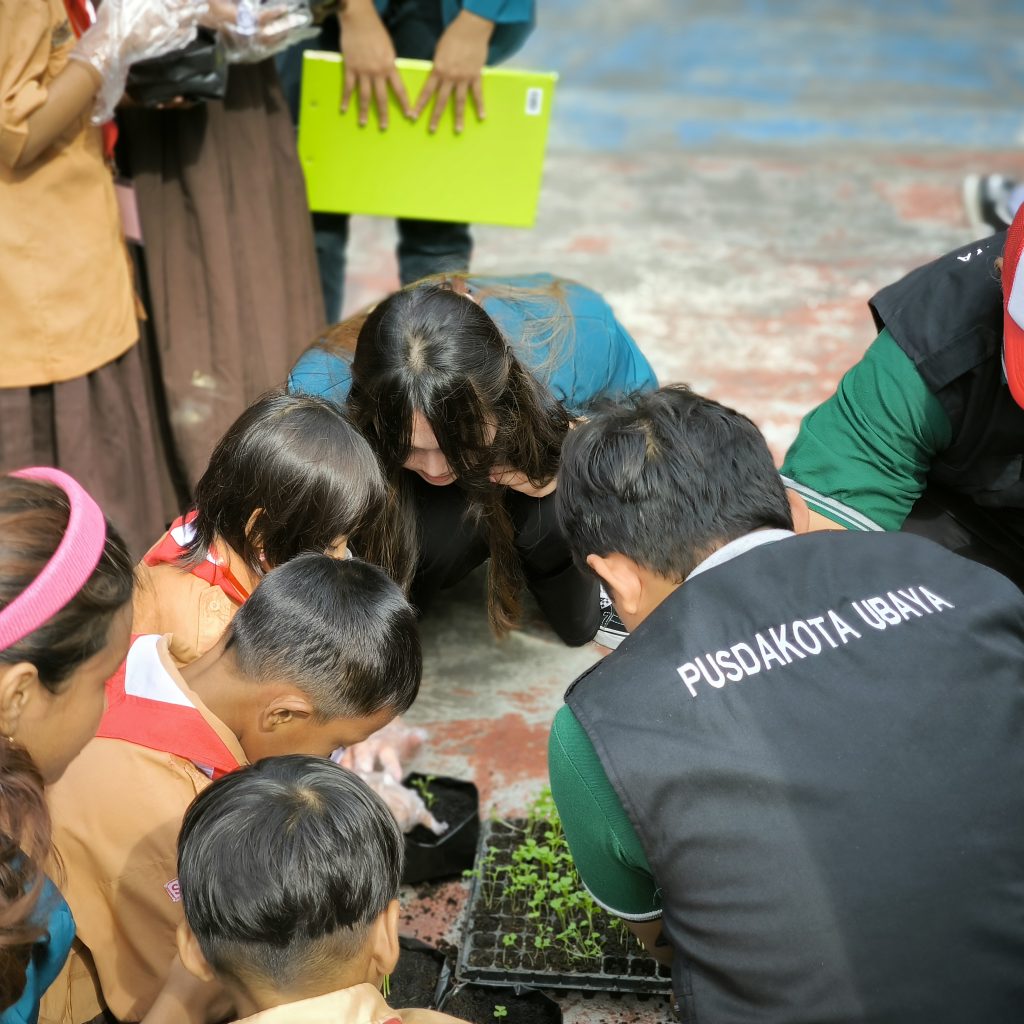 belajar menanam sayur pusdakota bersama SDN Kendangsari IV Surabaya