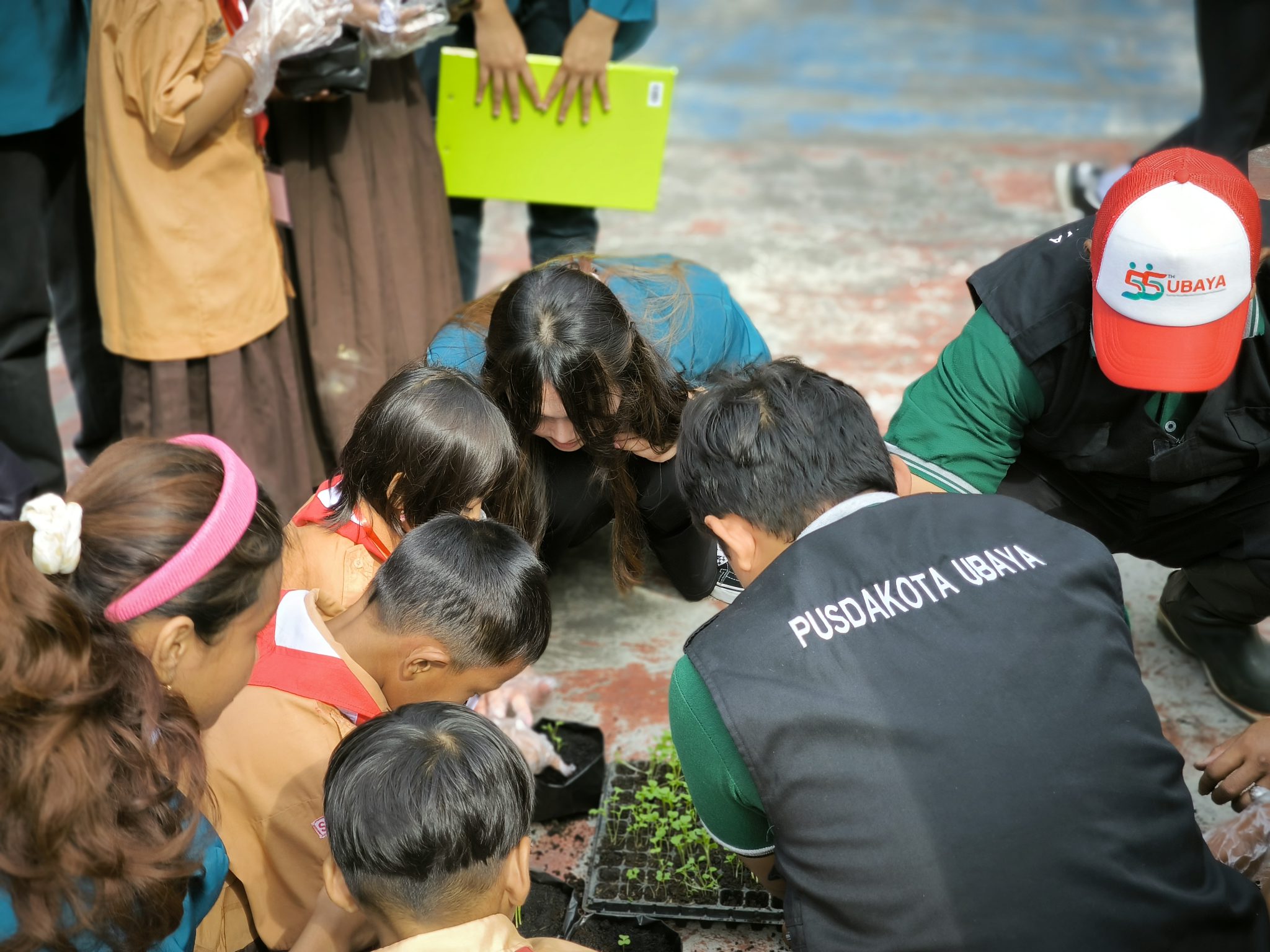 belajar menanam sayur pusdakota bersama SDN Kendangsari IV Surabaya