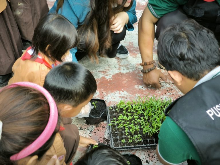 belajar menanam sayur pusdakota bersama SDN Kendangsari IV Surabaya